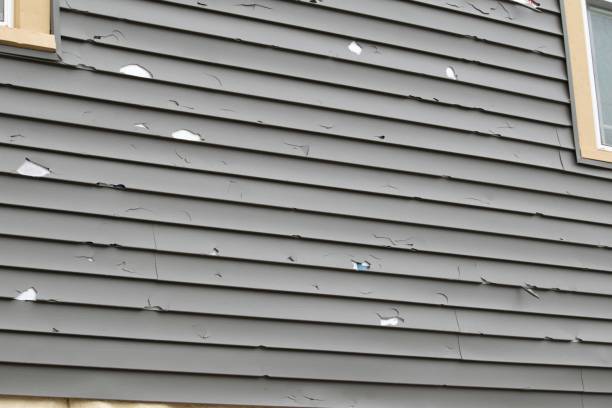 Best Shed Removal  in Halesite, NY