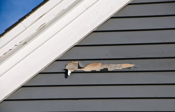 Best Same-Day Junk Removal Services  in Halesite, NY